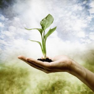 Curso de gestion y marketing para terapeutas marketing consciente marketing espiritual