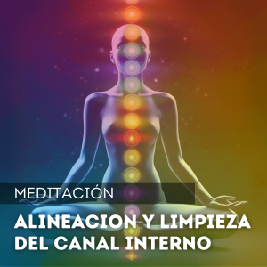 Alineación y limpieza del canal interno