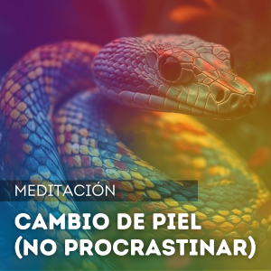 Cambio de piel (dejar de procrastinar)