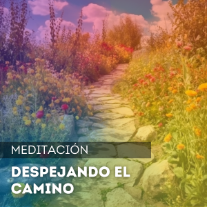 Despejando el camino